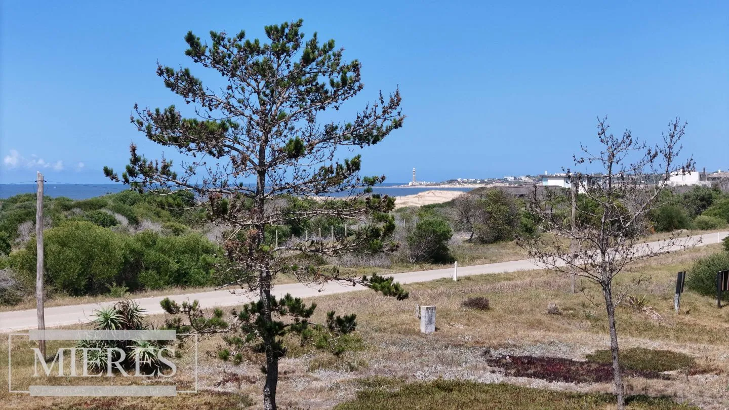 Venta lote 5000m2 frente al mar en Arenas de JI — foto 2