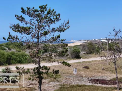Venta lote 5000m2 frente al mar en Arenas de JI — foto 2