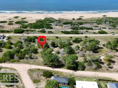Venta lote 5000m2 frente al mar en Arenas de JI — foto 3