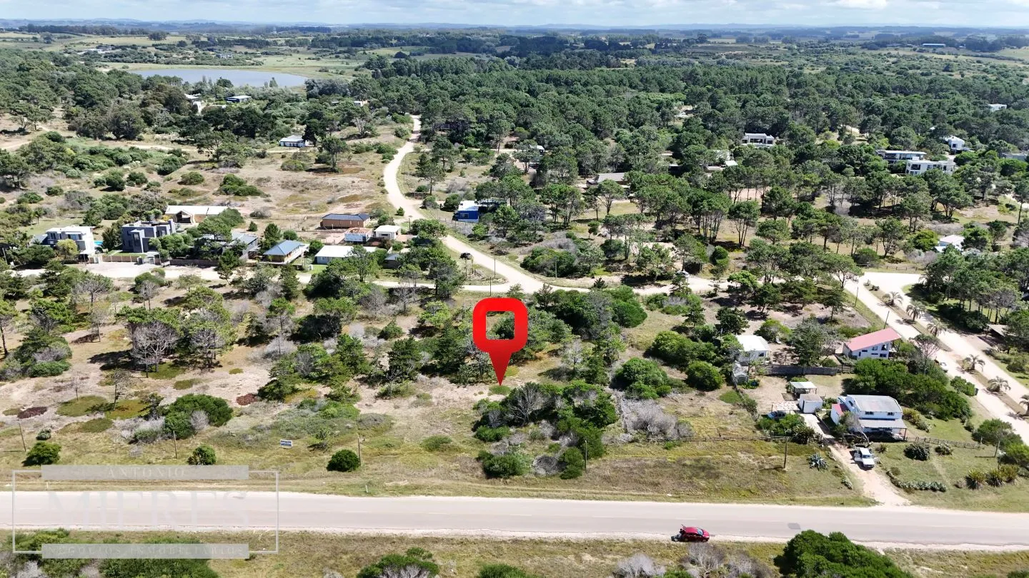 Venta lote 5000m2 frente al mar en Arenas de JI — foto 5