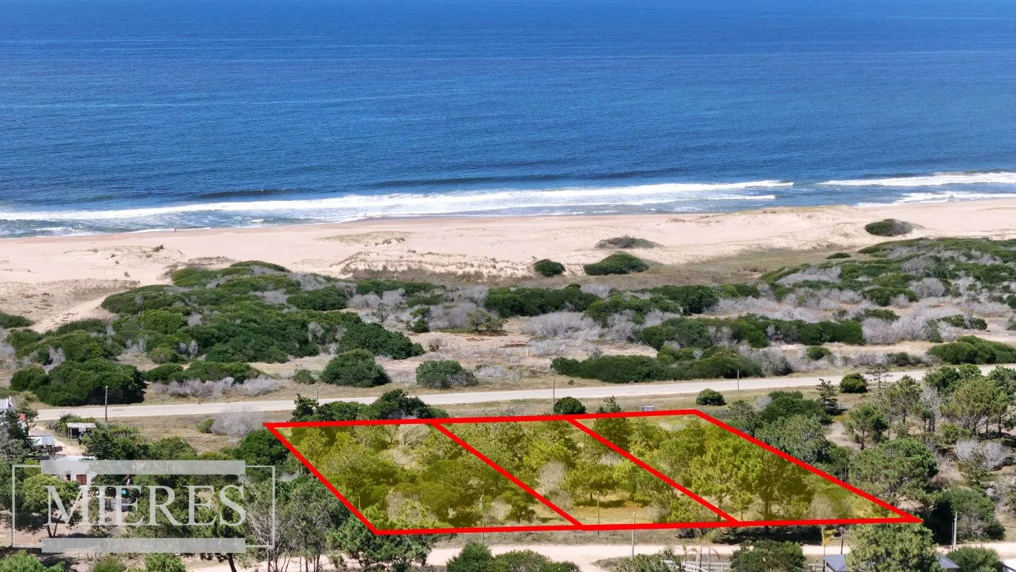 Venta lote 5000m2 frente al mar en Arenas de JI — foto 6