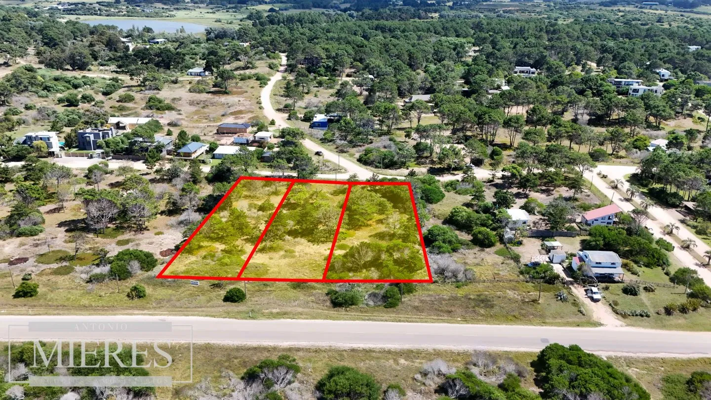 Venta lote 5000m2 frente al mar en Arenas de JI — foto 9