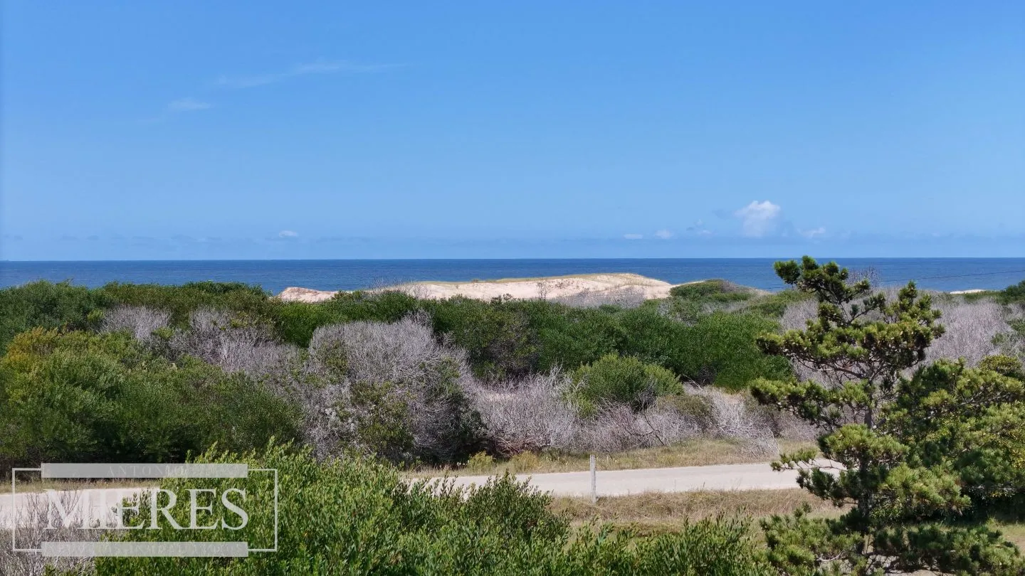 Venta lote 5000m2 frente al mar en Arenas de JI — foto 10