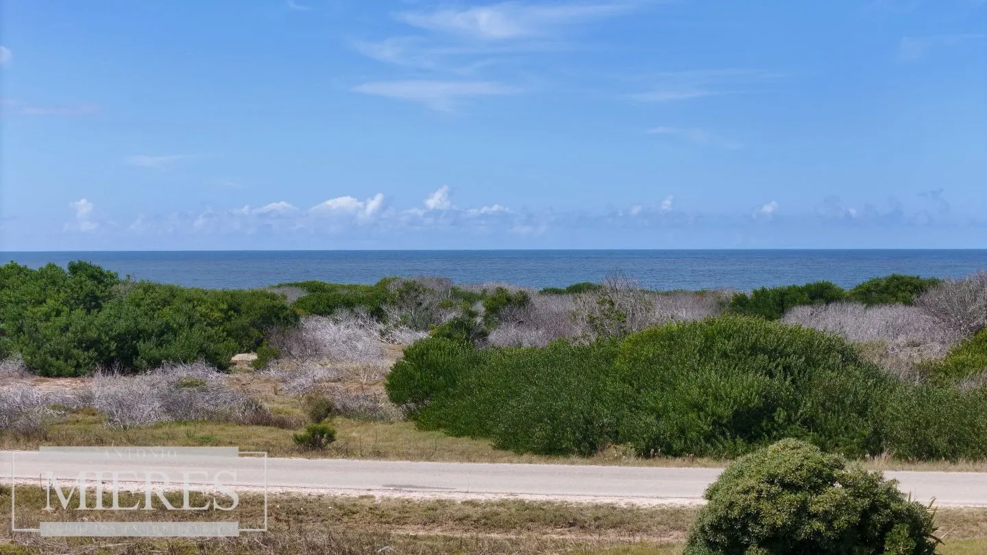 Venta lote 5000m2 frente al mar en Arenas de JI — foto 11