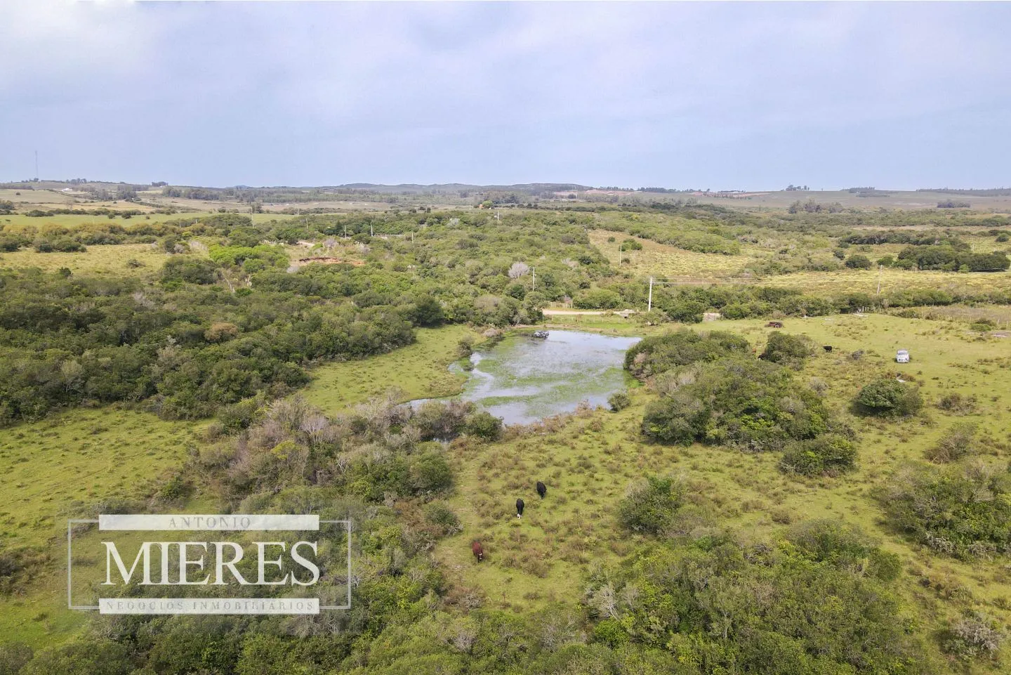 Campo de 40ha Maldonado, con arroyo y vista a las Sierras — foto 2