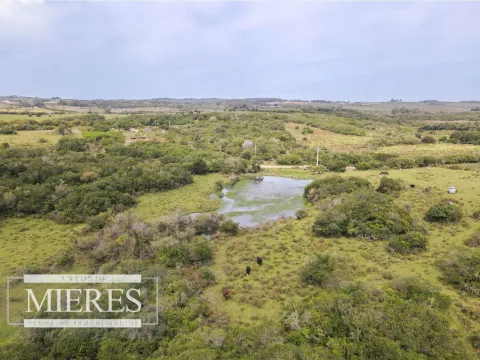 Campo de 40ha Maldonado, con arroyo y vista a las Sierras — foto 2