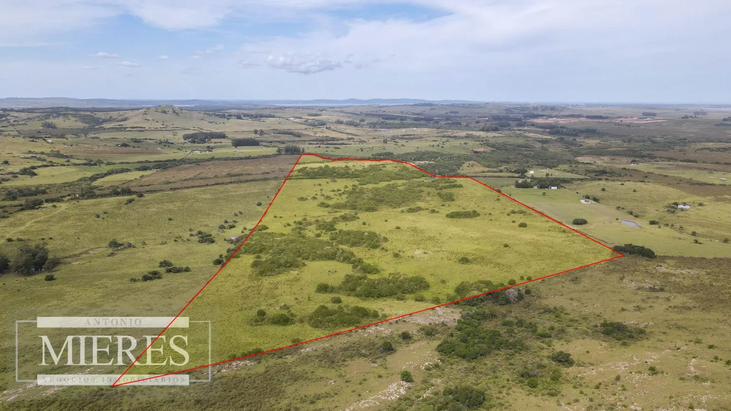 Campo de 40ha Maldonado, con arroyo y vista a las Sierras — foto 3