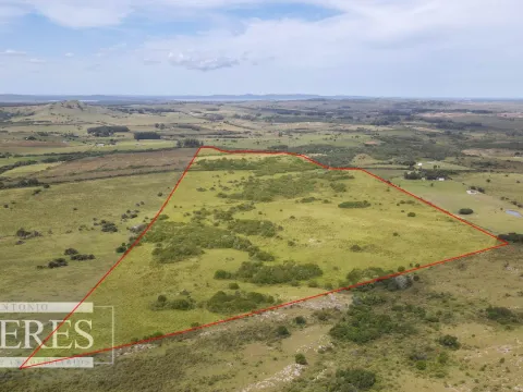 Campo de 40ha Maldonado, con arroyo y vista a las Sierras — foto 3