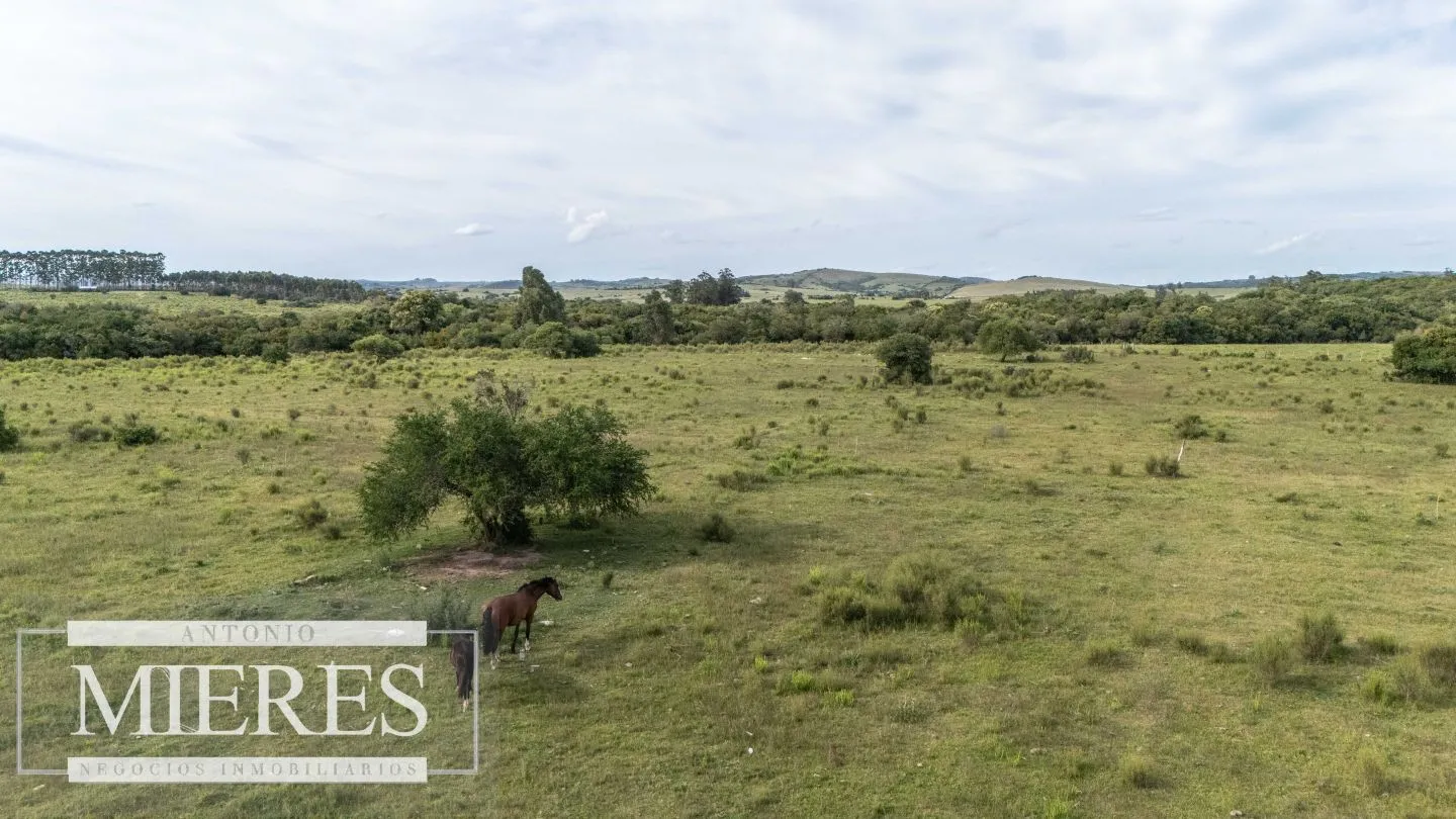 Chacra de 11ha Pueblo Edén con Arroyo — foto 1