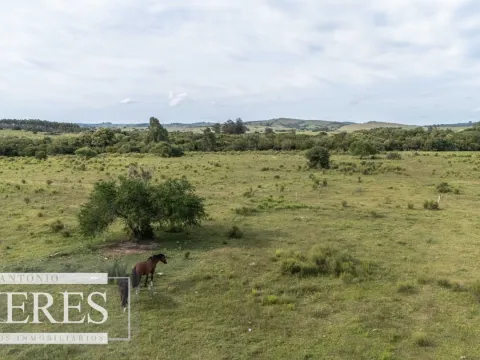 Chacra de 11ha Pueblo Edén con Arroyo