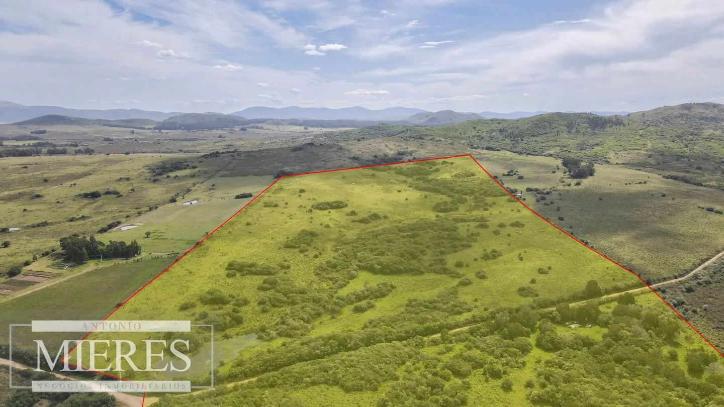 Campo de 40ha Maldonado, con arroyo y vista a las Sierras — foto 4