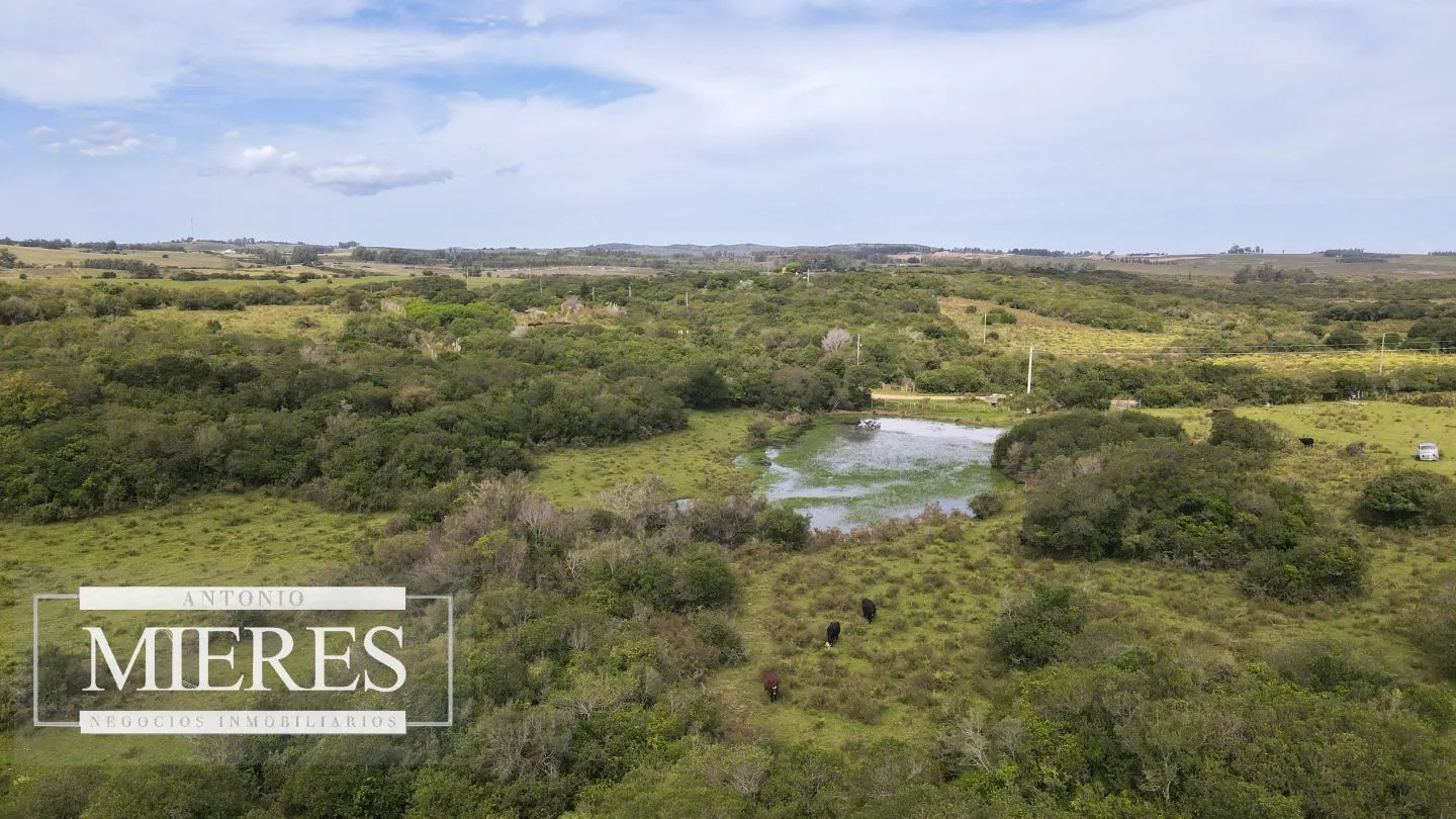 Campo de 40ha Maldonado, con arroyo y vista a las Sierras — foto 5