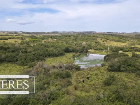 Campo de 40ha Maldonado, con arroyo y vista a las Sierras — foto 5