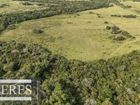 Chacra de 11ha Pueblo Edén con Arroyo — foto 3