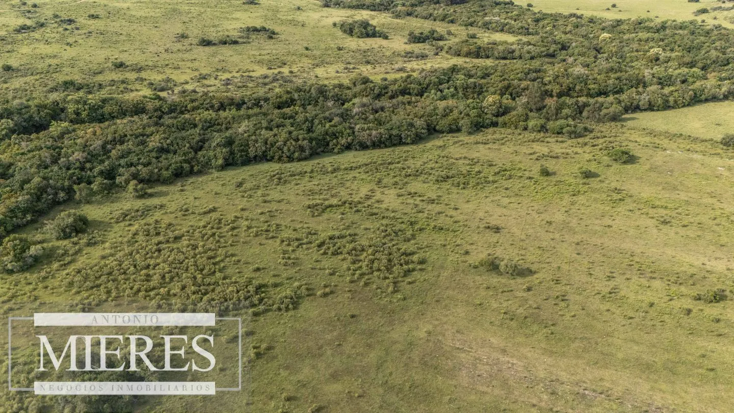 Chacra de 11ha Pueblo Edén con Arroyo — foto 4