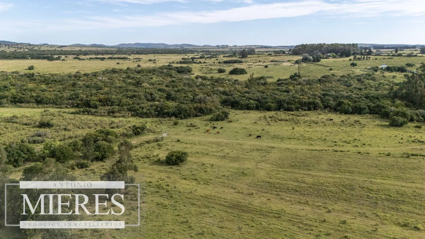 Chacra de 11ha Pueblo Edén con Arroyo — foto 9