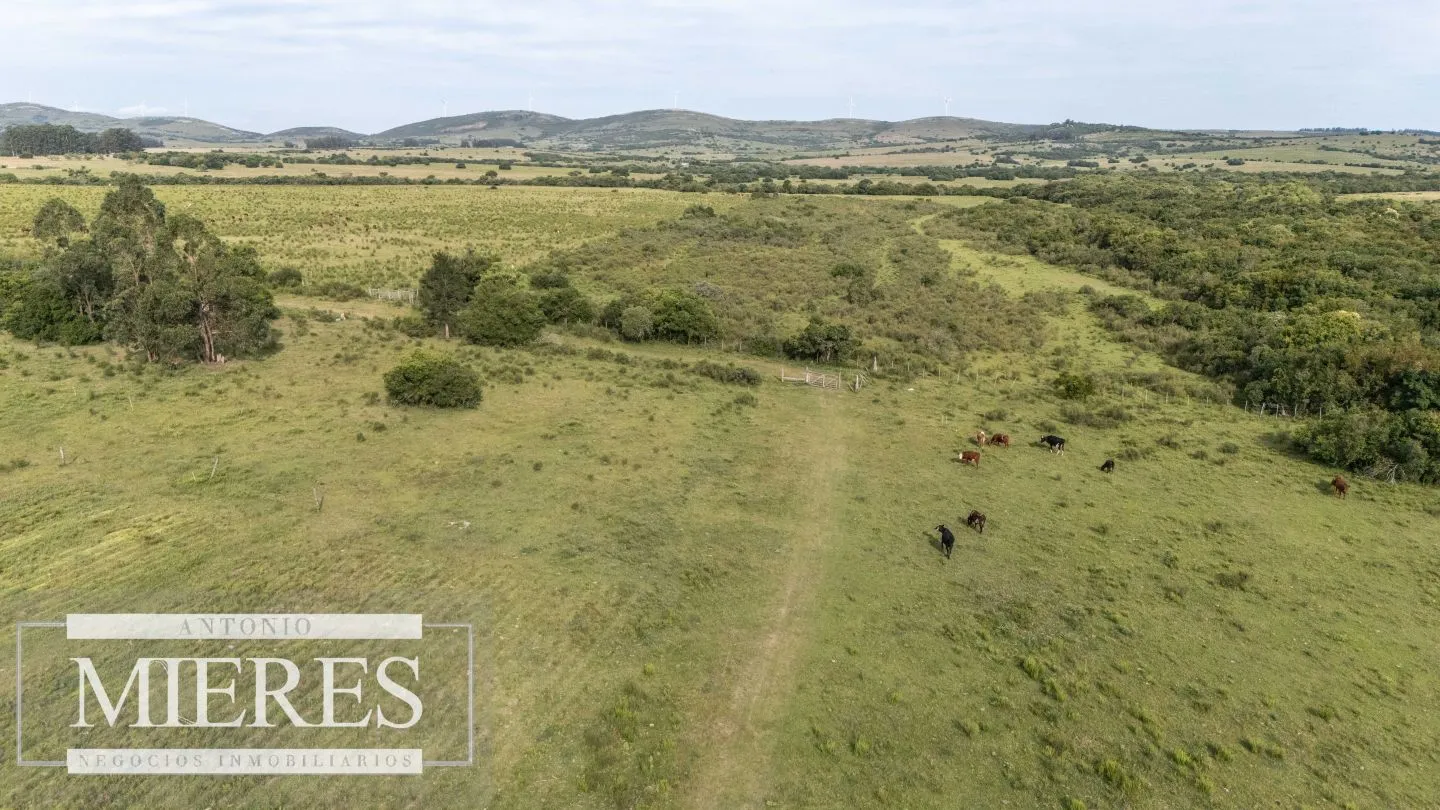 Chacra de 11ha Pueblo Edén con Arroyo — foto 10
