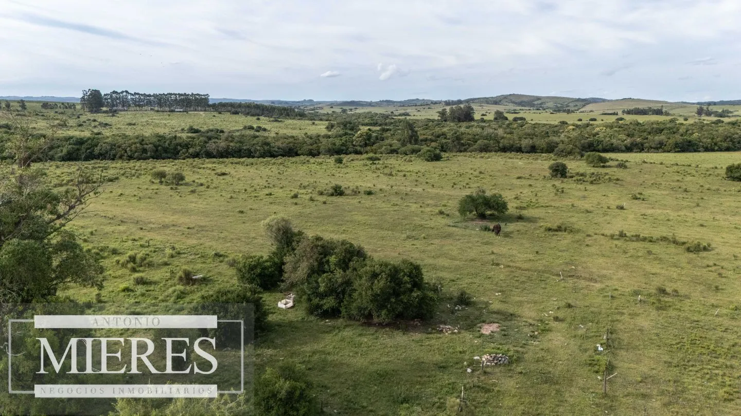 Chacra de 11ha Pueblo Edén con Arroyo — foto 11