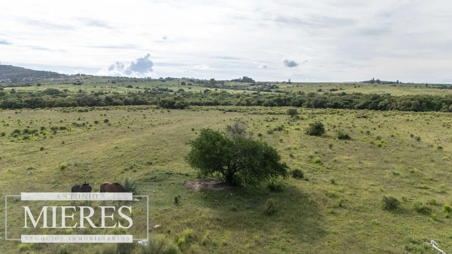 Chacra de 11ha Pueblo Edén con Arroyo — foto 13