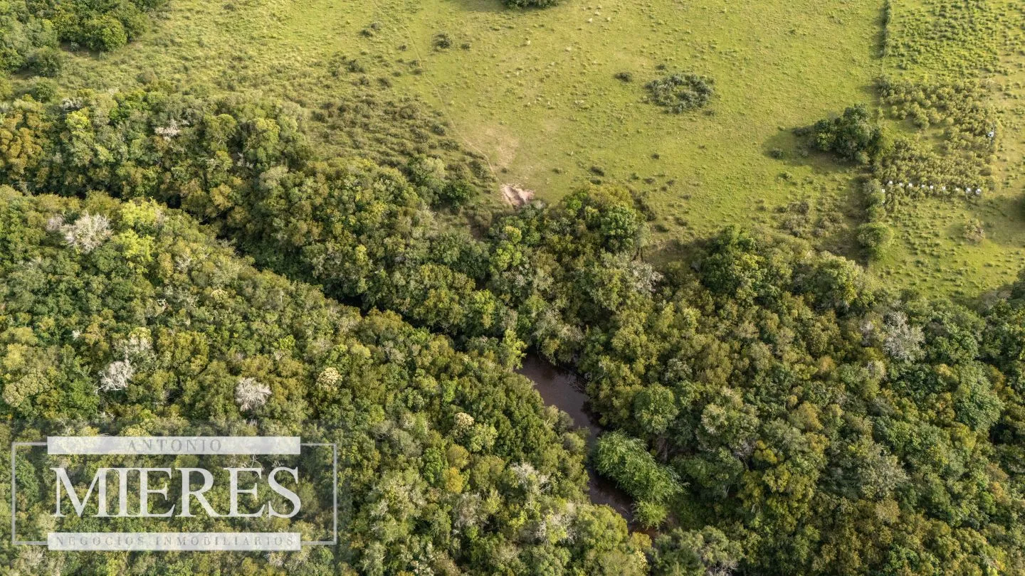 Chacra de 11ha Pueblo Edén con Arroyo — foto 14