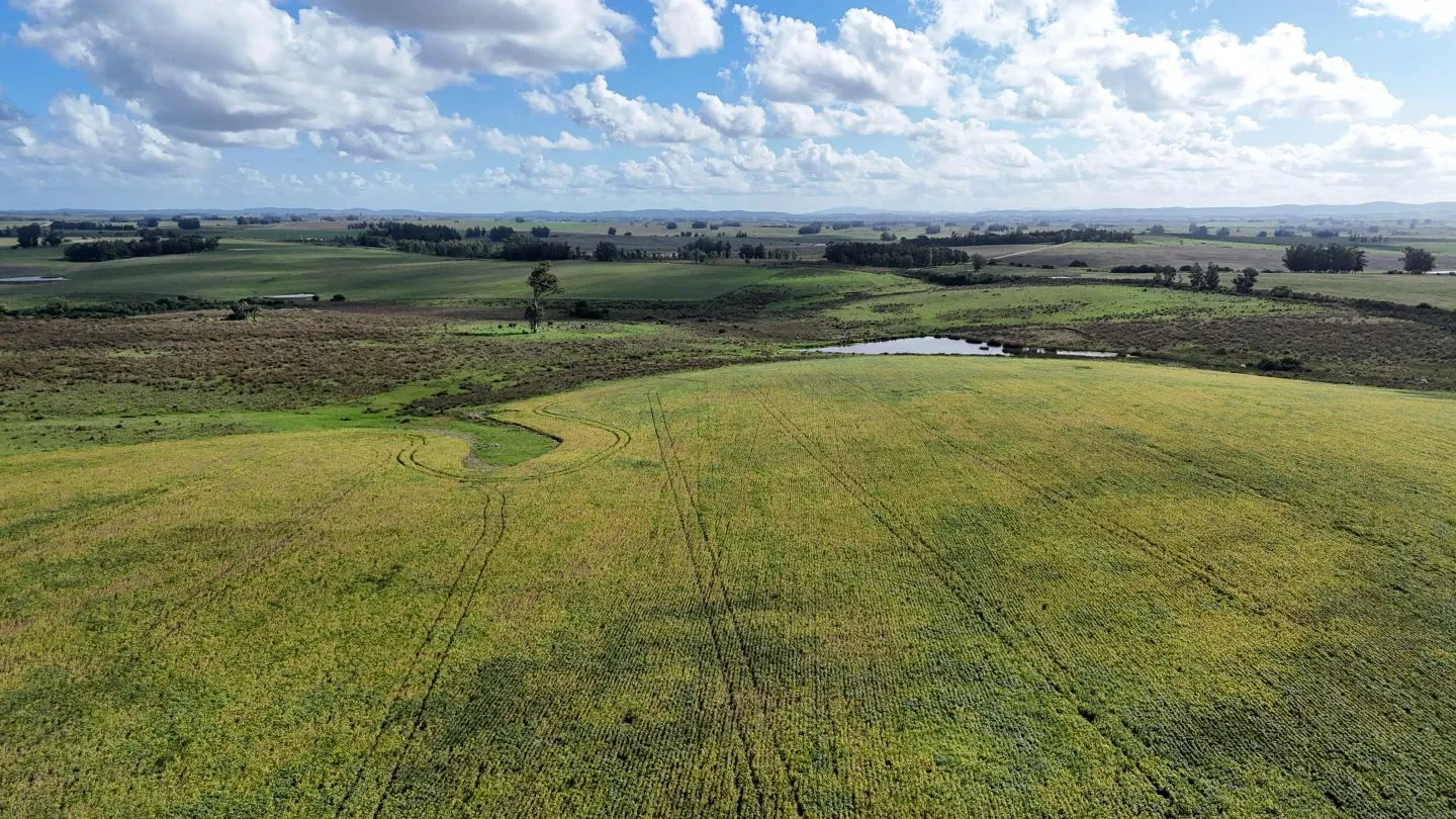 campo en venta en Punta del Este — foto 1