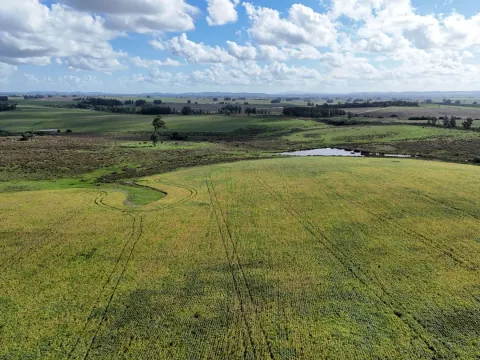 campo en venta en Punta del Este