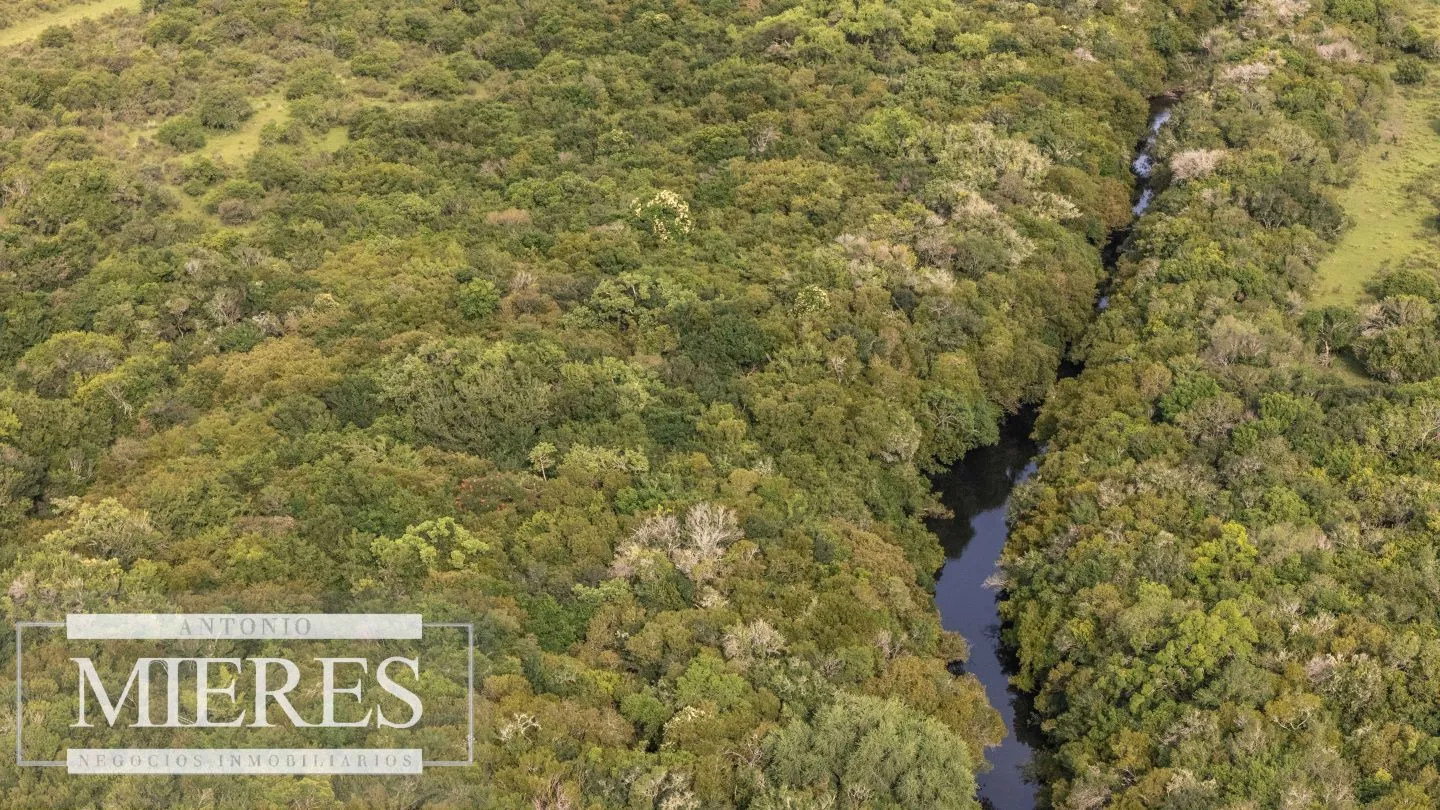 Chacra de 11ha Pueblo Edén con Arroyo — foto 16
