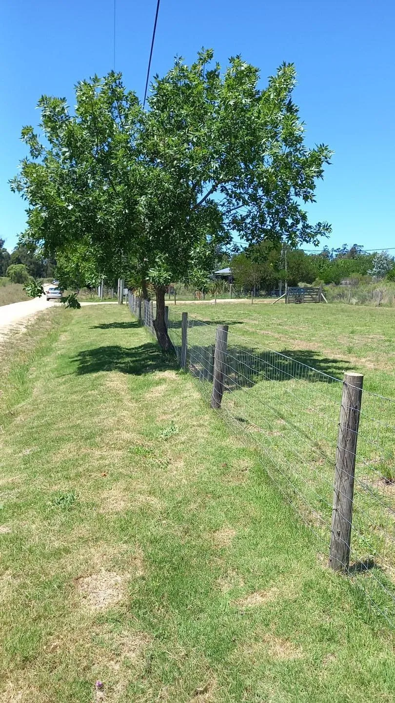 VENTA DE MUY LINDA ESQUINA EL TESORO, LA BARRA — foto 12