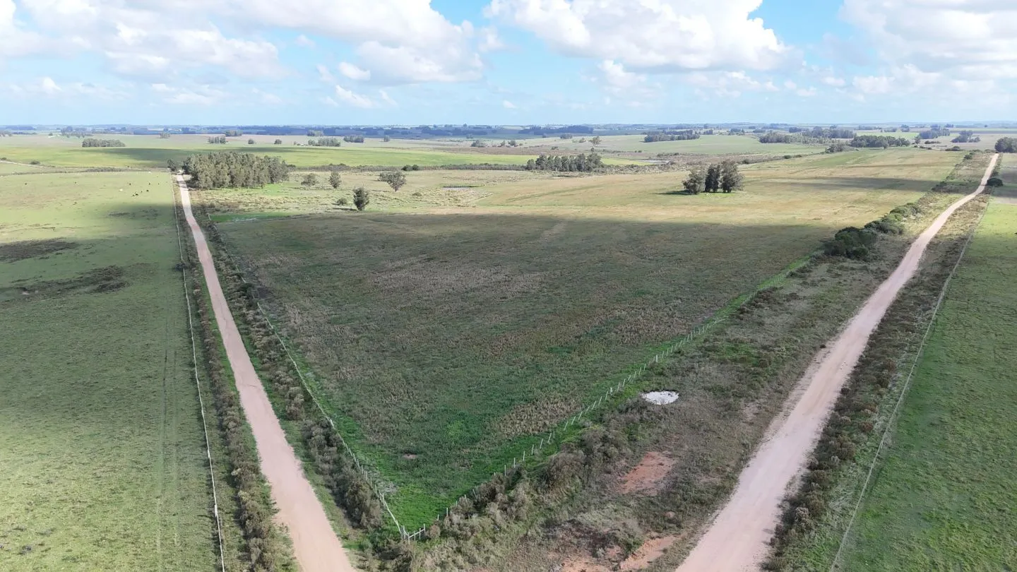 campo en venta en Punta del Este — foto 2