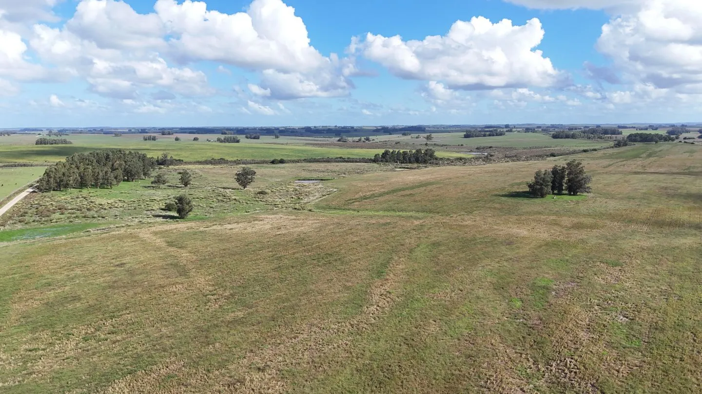 campo en venta en Punta del Este — foto 3