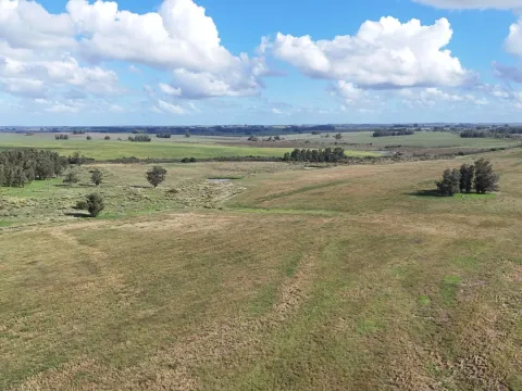 campo en venta en Punta del Este — foto 3
