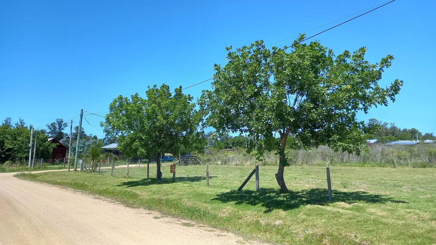 VENTA DE MUY LINDA ESQUINA EL TESORO, LA BARRA — foto 14