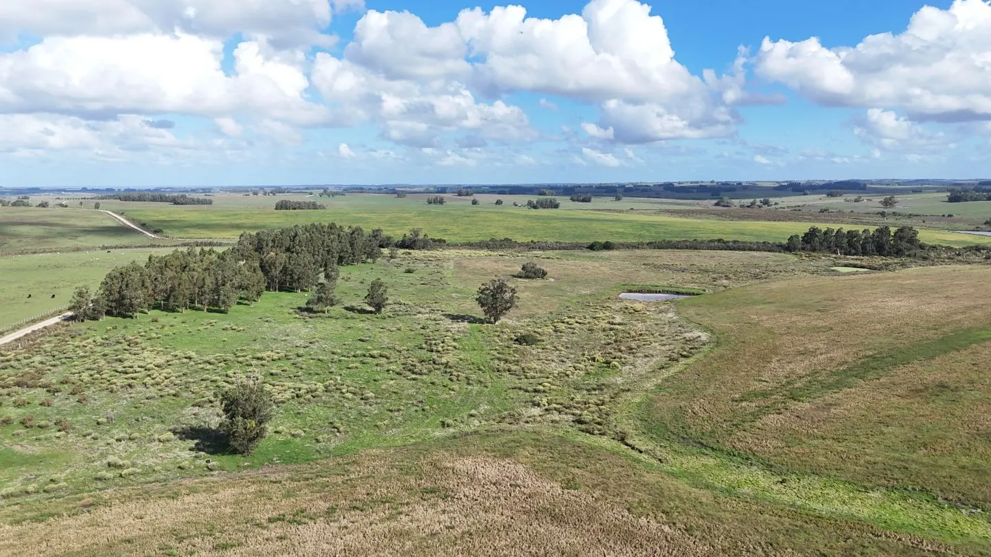 campo en venta en Punta del Este — foto 4