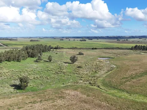 campo en venta en Punta del Este — foto 4