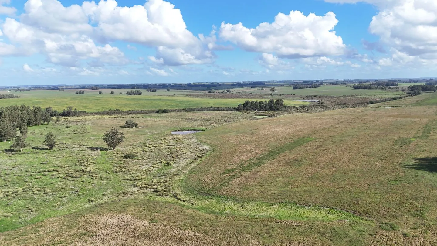 campo en venta en Punta del Este — foto 5