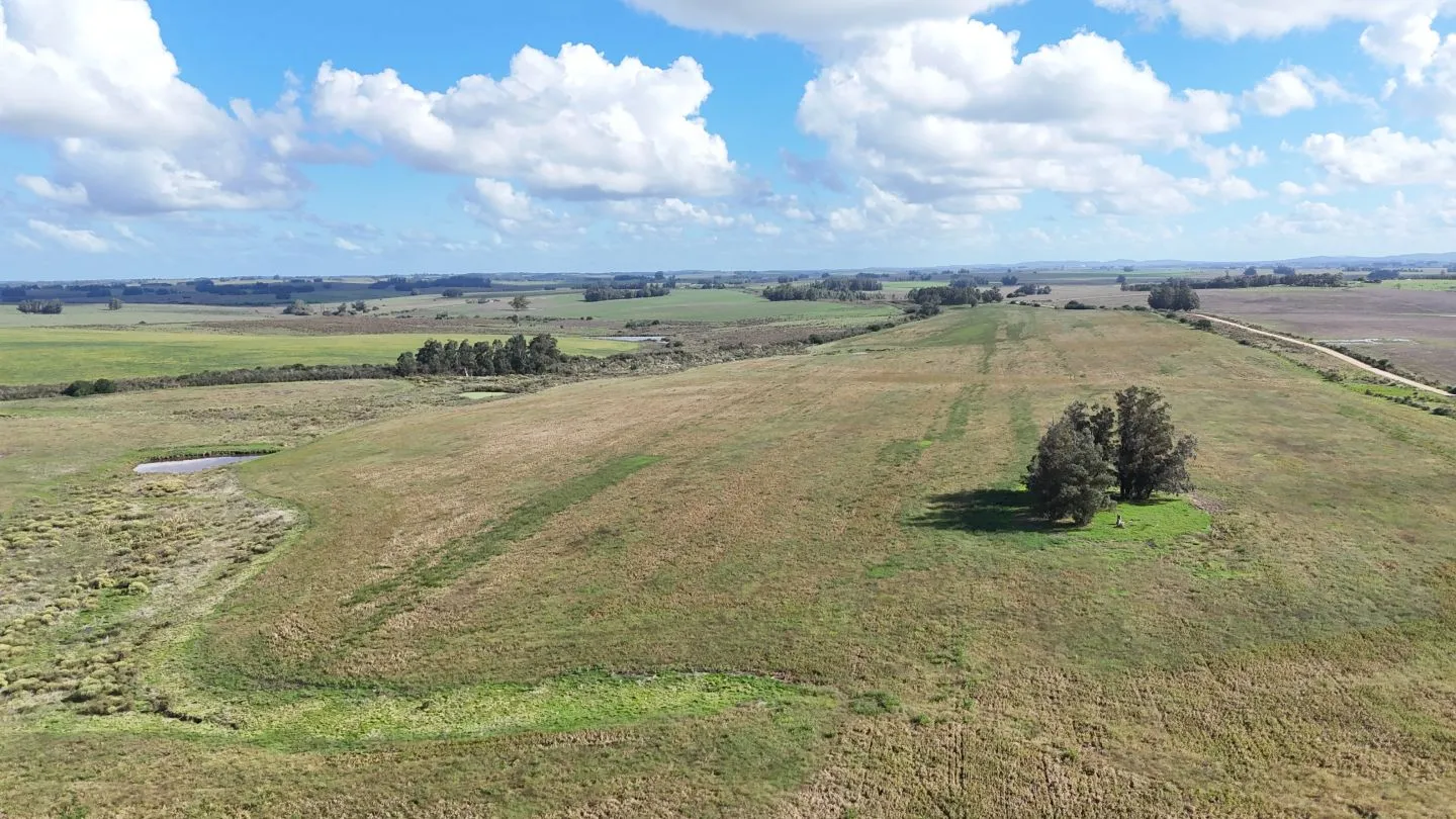 campo en venta en Punta del Este — foto 6