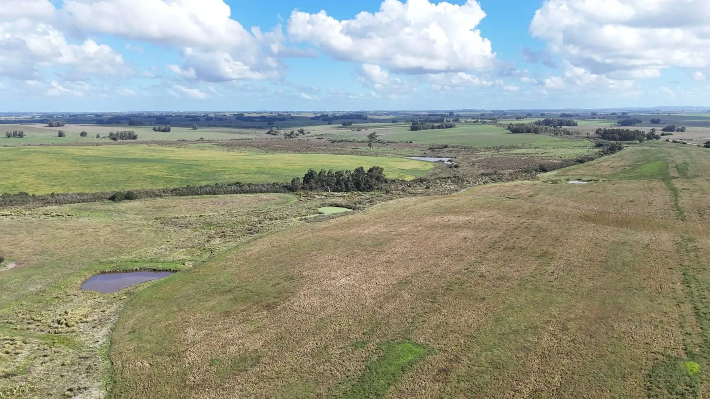 campo en venta en Punta del Este — foto 7
