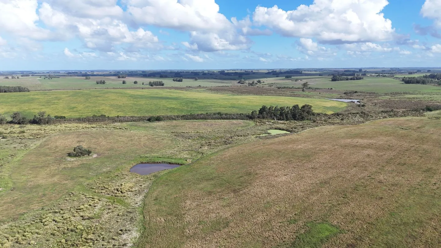 campo en venta en Punta del Este — foto 8