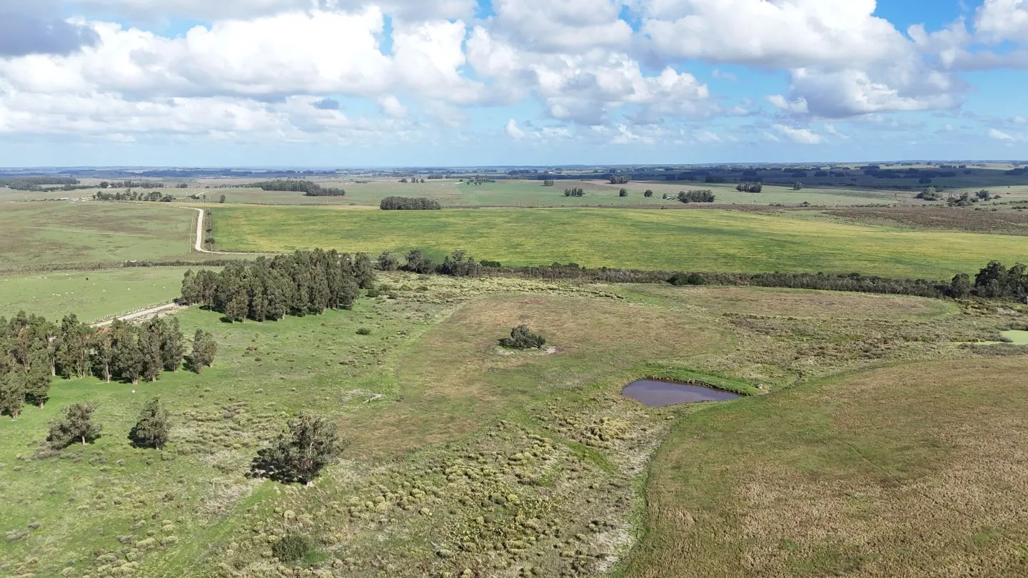 campo en venta en Punta del Este — foto 9