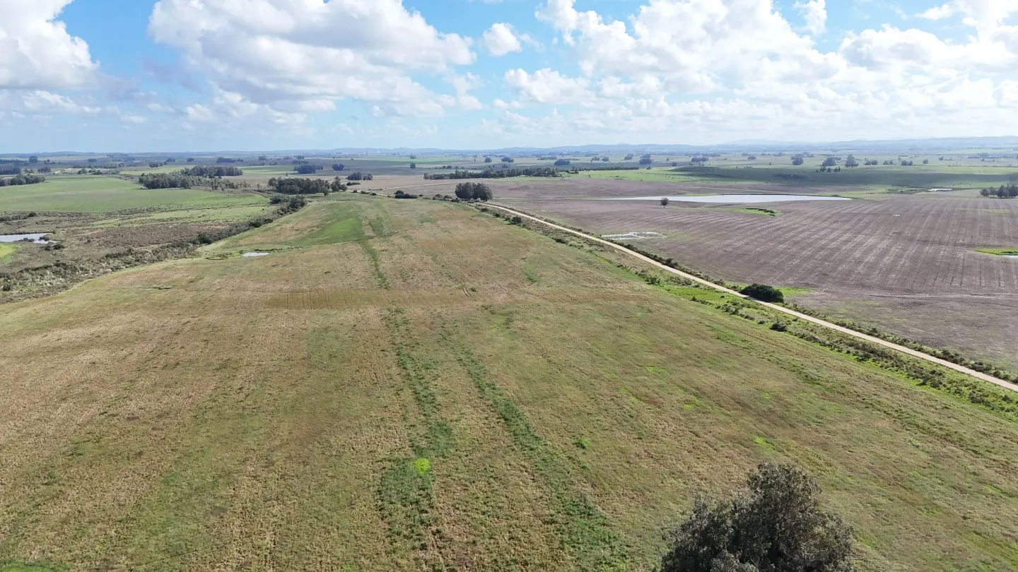 campo en venta en Punta del Este — foto 10