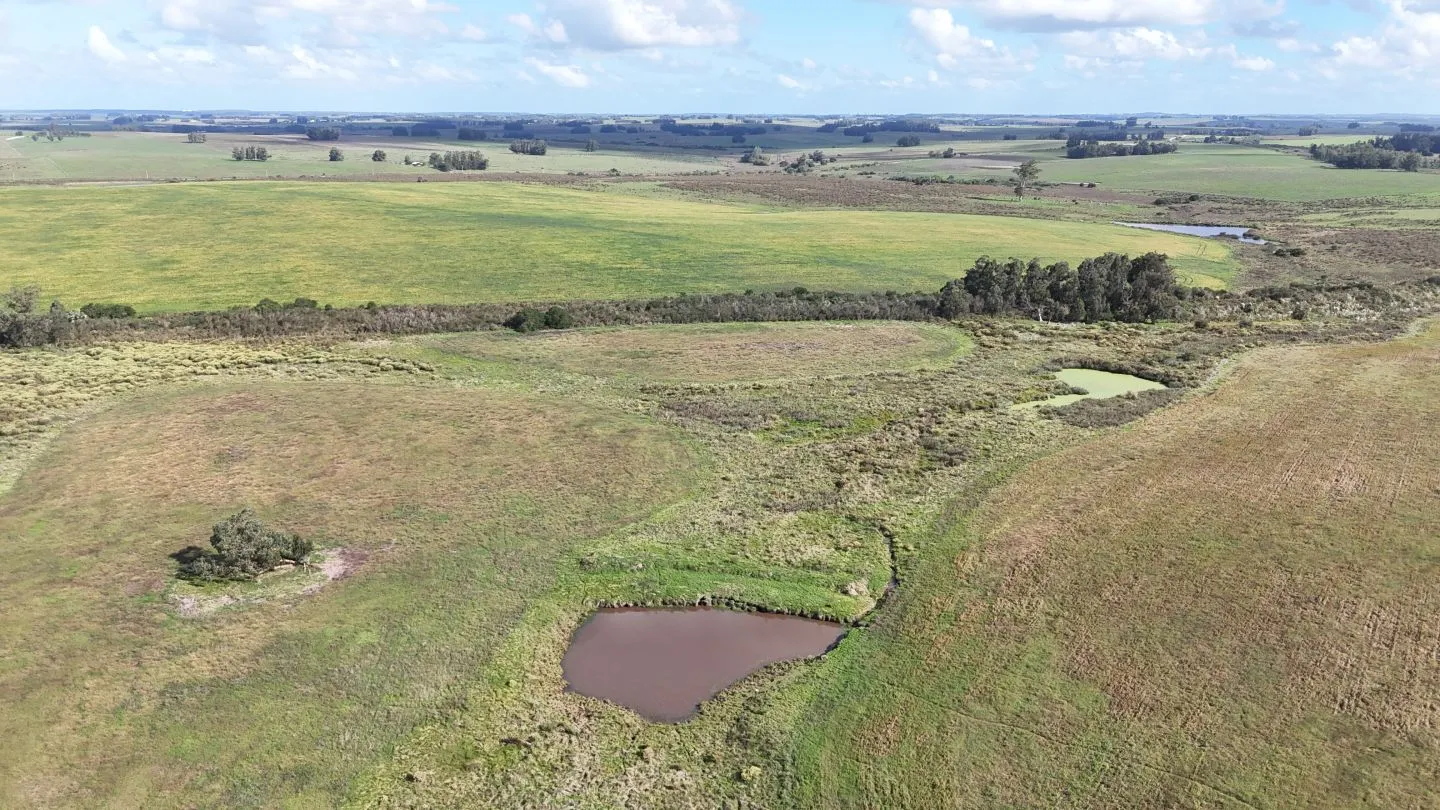 campo en venta en Punta del Este — foto 11