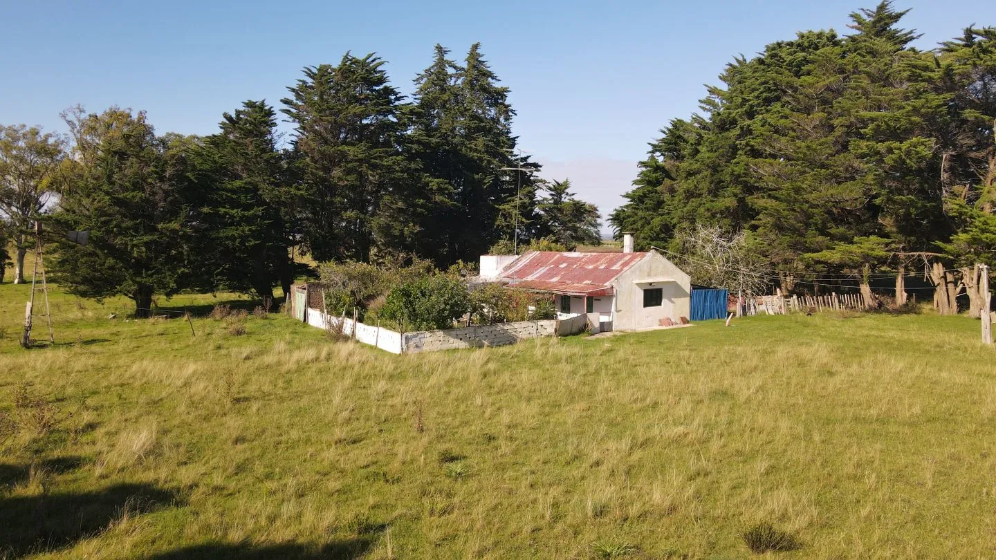 Chacra8ha  con Casa sobre ruta 13 — foto 4