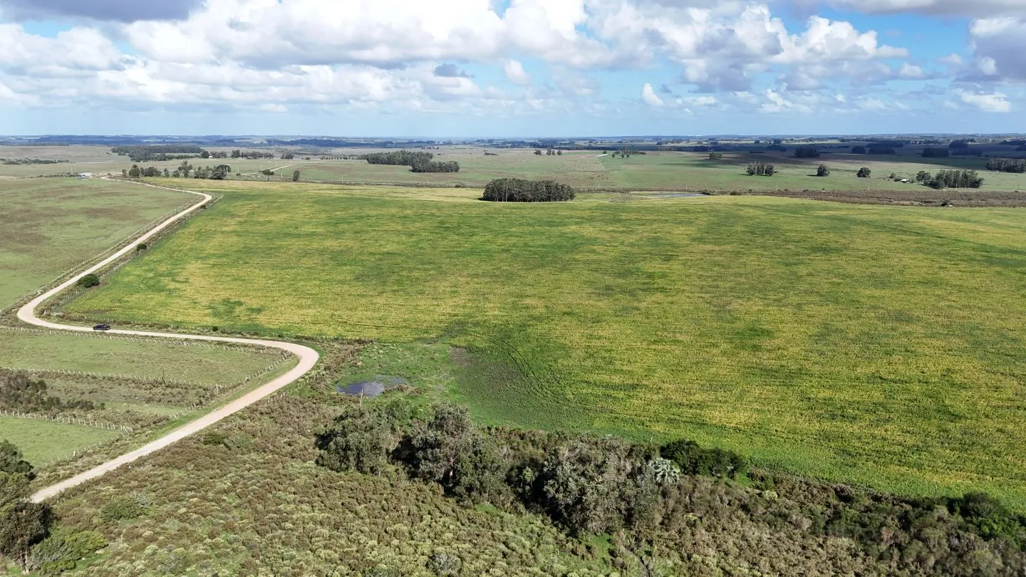 campo en venta en Punta del Este — foto 12