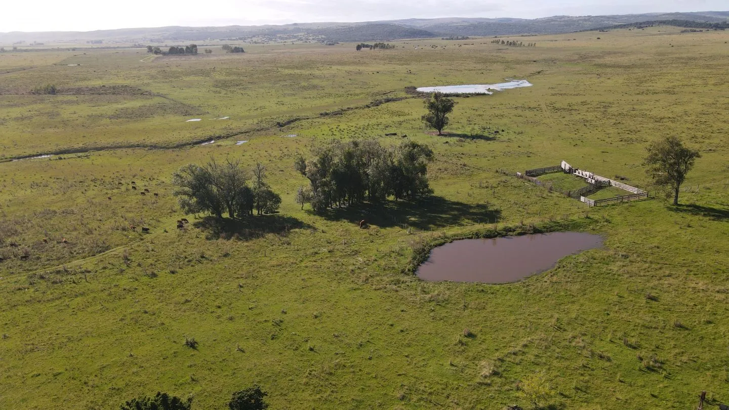 Chacra8ha  con Casa sobre ruta 13 — foto 5