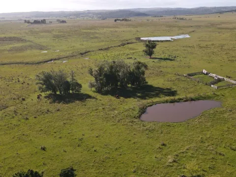 Chacra8ha  con Casa sobre ruta 13 — foto 5