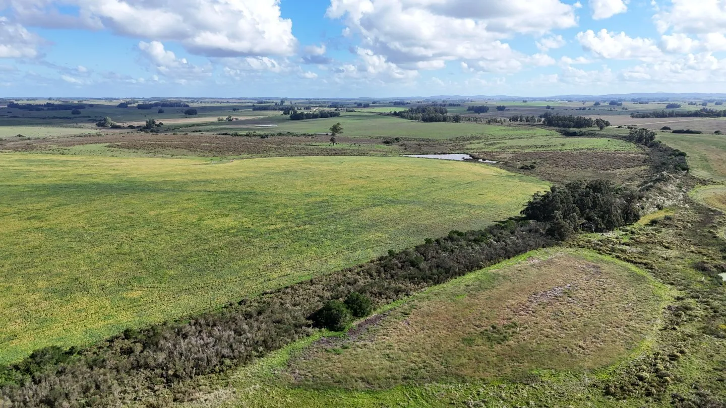 campo en venta en Punta del Este — foto 13