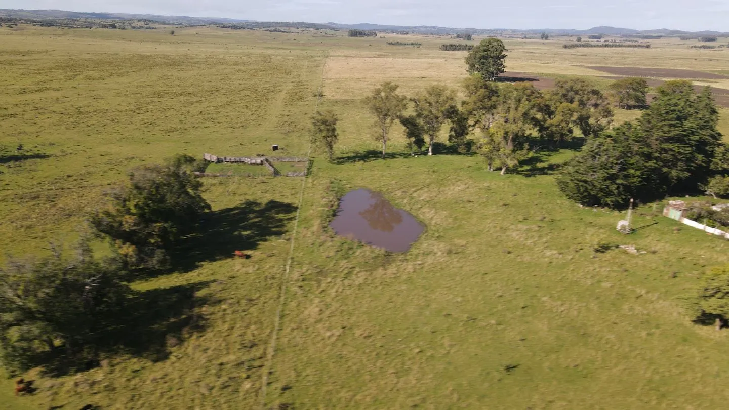 Chacra8ha  con Casa sobre ruta 13 — foto 6