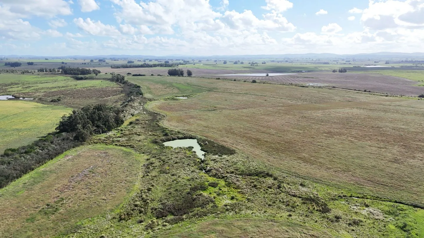 campo en venta en Punta del Este — foto 14