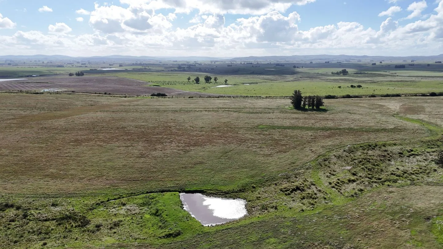 campo en venta en Punta del Este — foto 15