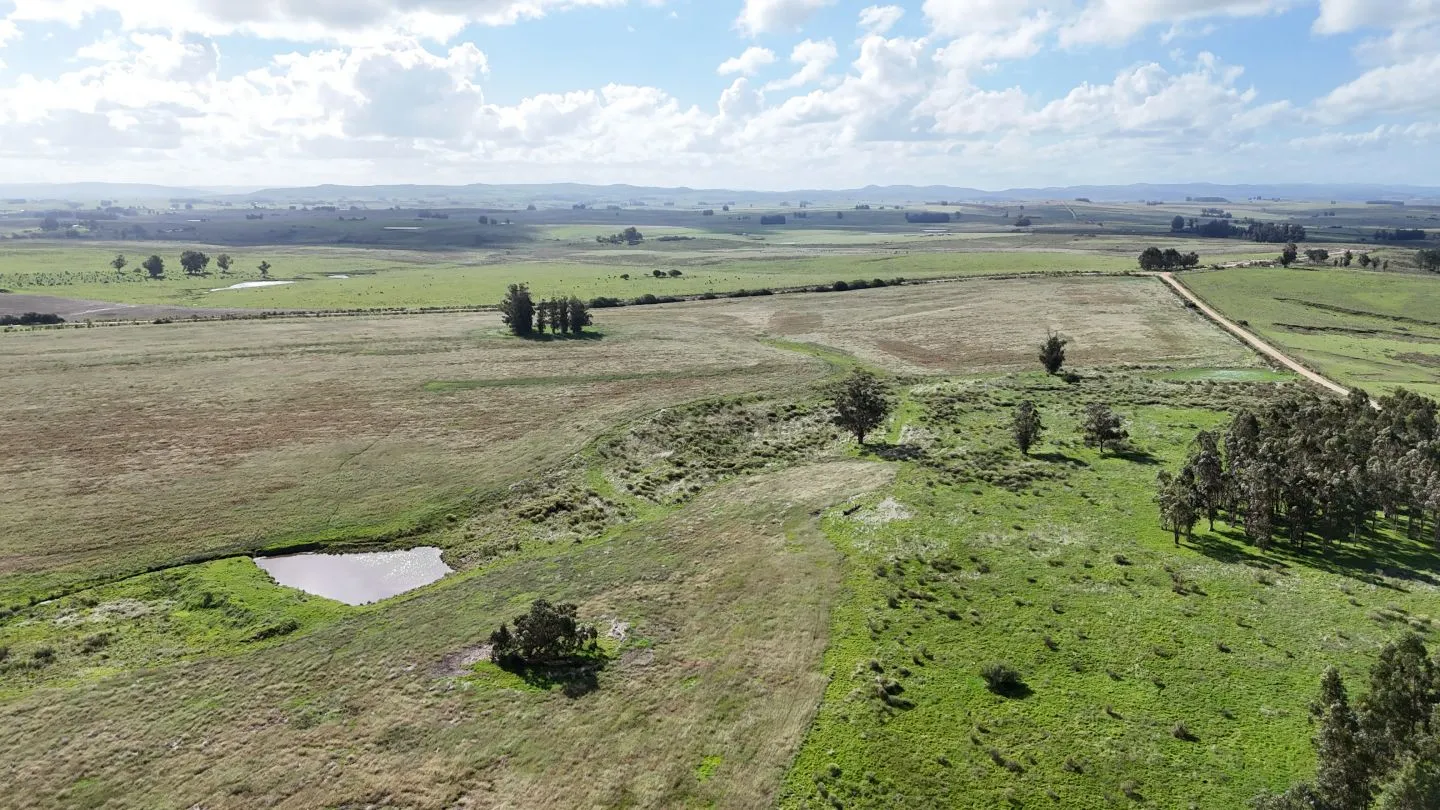 campo en venta en Punta del Este — foto 16